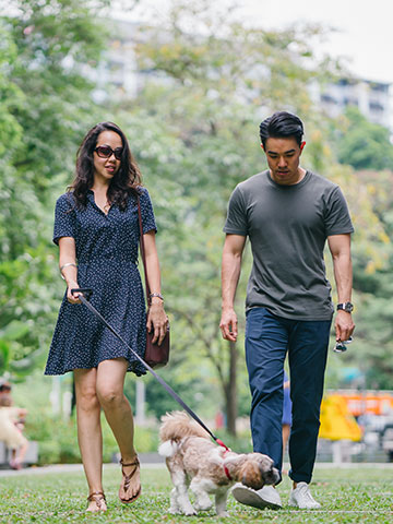 What should I pack for my pet?