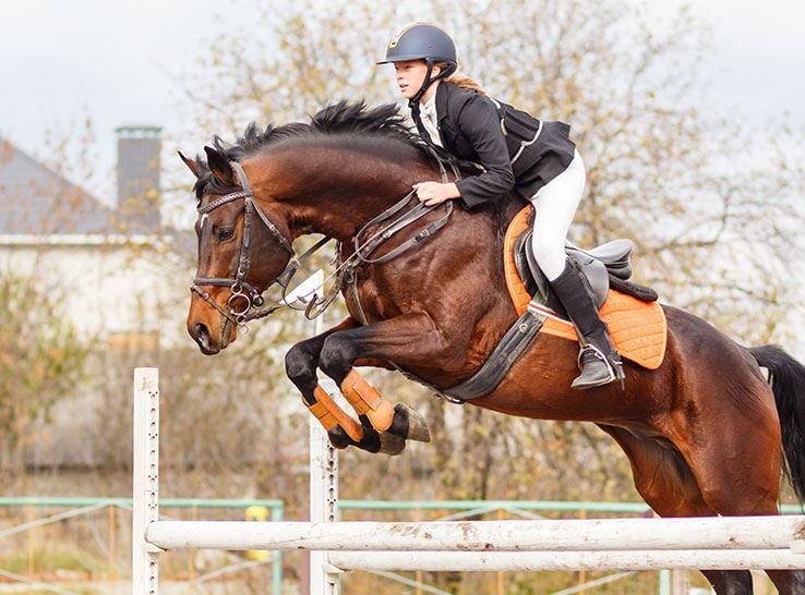 Los Angeles Equestrian Center at Burbank, California
