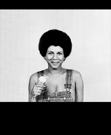 Perfect Angel: The Definitive Minnie Riperton Tribute