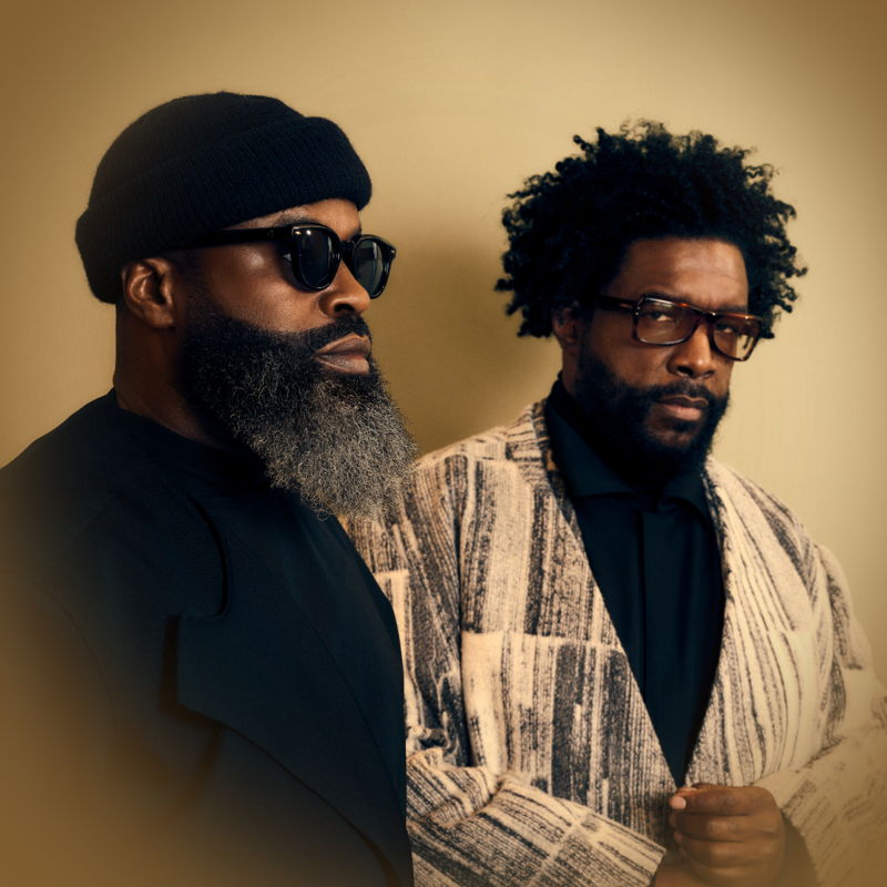 A Roots Picnic Experience